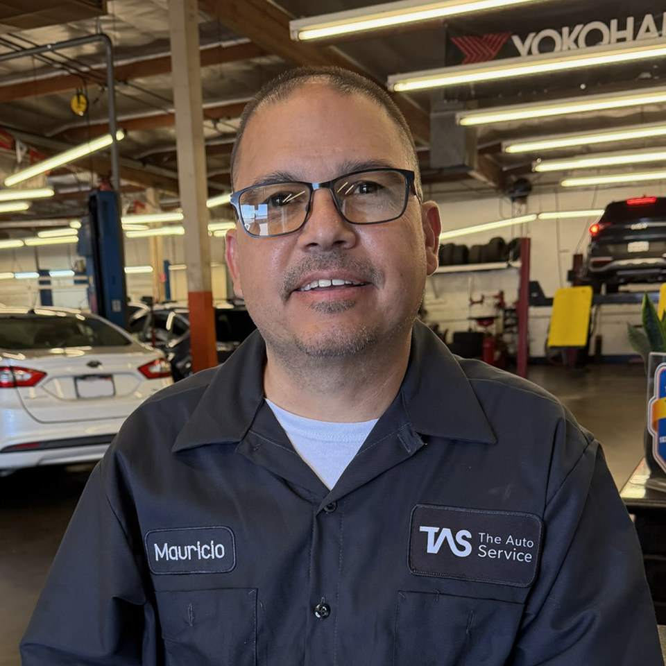 Mauricio Castro - The Auto Service